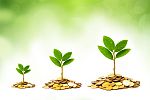 euro coins with little trees