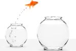 fish jumps from one bottle to an other