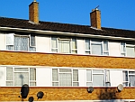 Social houses